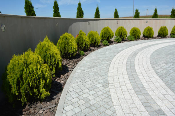 Best Driveway Repair Near Me  in Rawls Springs, MS